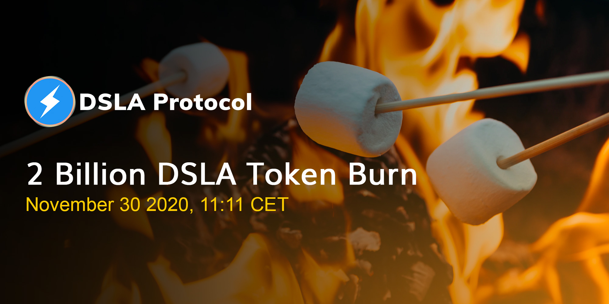 2 Billion DSLA Token Burn Event